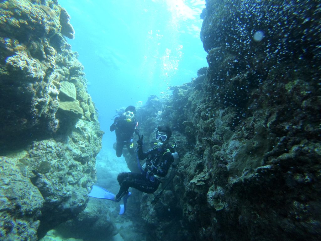 チービシ諸島で体験ダイビング