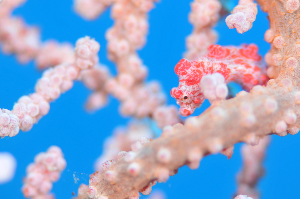 写真 2019-08-06 13 43 20