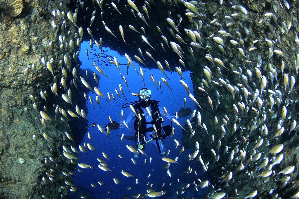 写真 2019-08-27 13 39 06