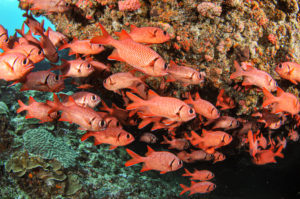 写真 2019-08-27 15 30 07