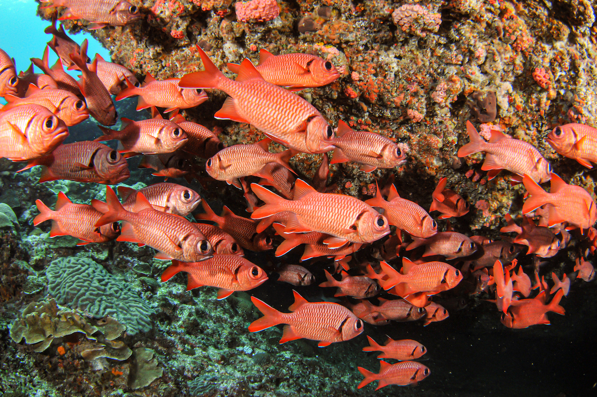 写真 2019-08-27 15 30 07