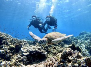 写真 2020-07-31 16 45 29