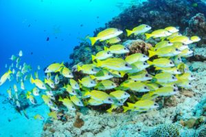 写真 2020-10-28 10 15 25