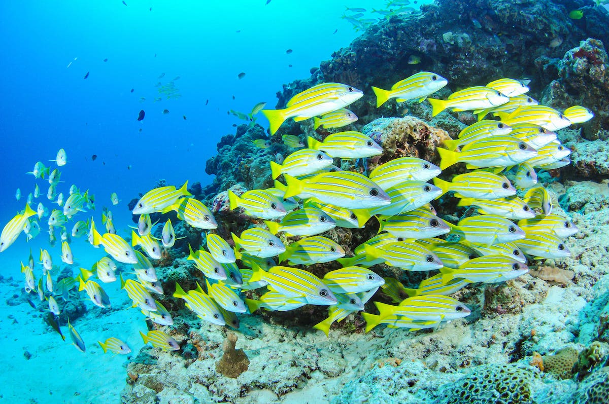 写真 2020-10-28 10 15 25