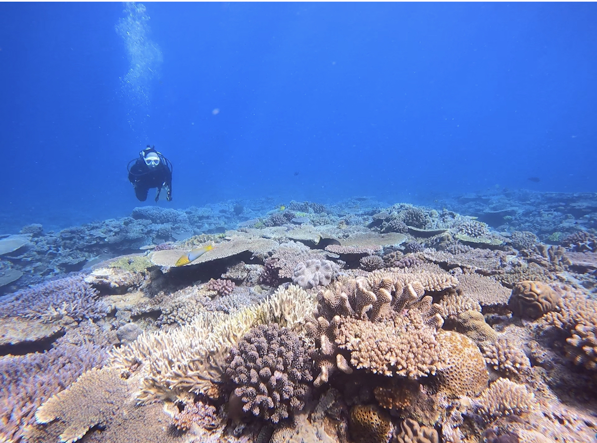 写真 2021-04-26 16 30 28